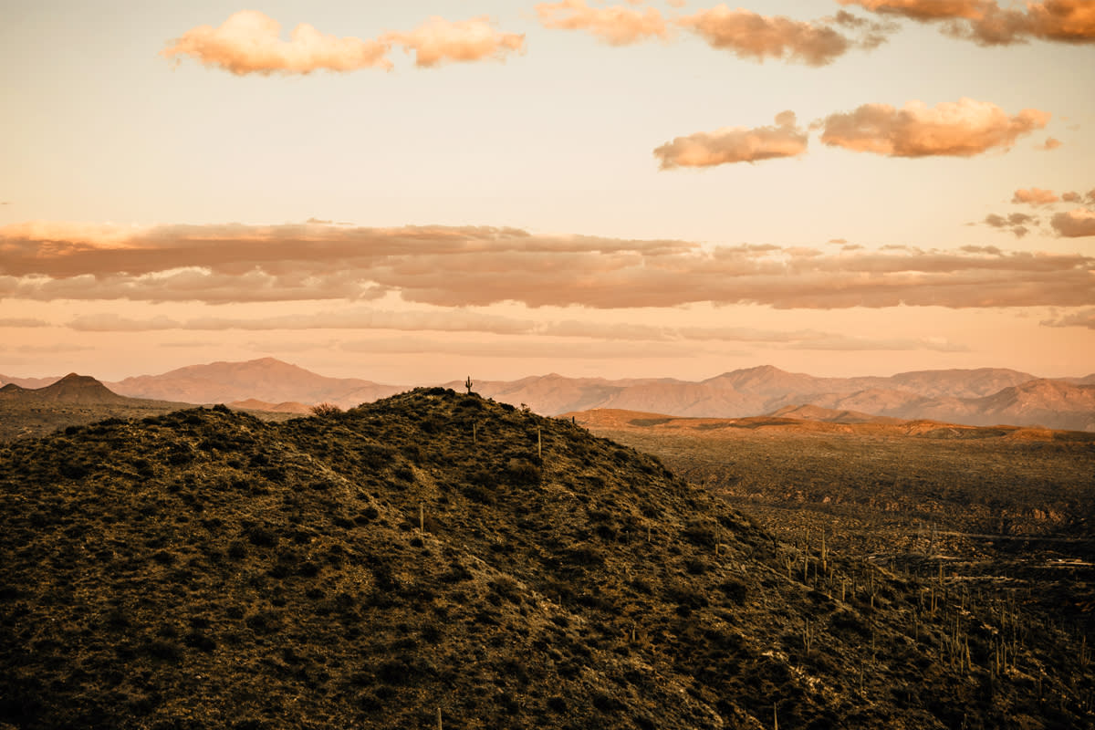 McDowell Sonoran Preserve_woods2