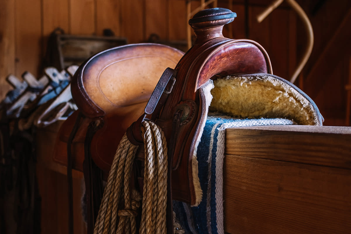 Rodeo Museum