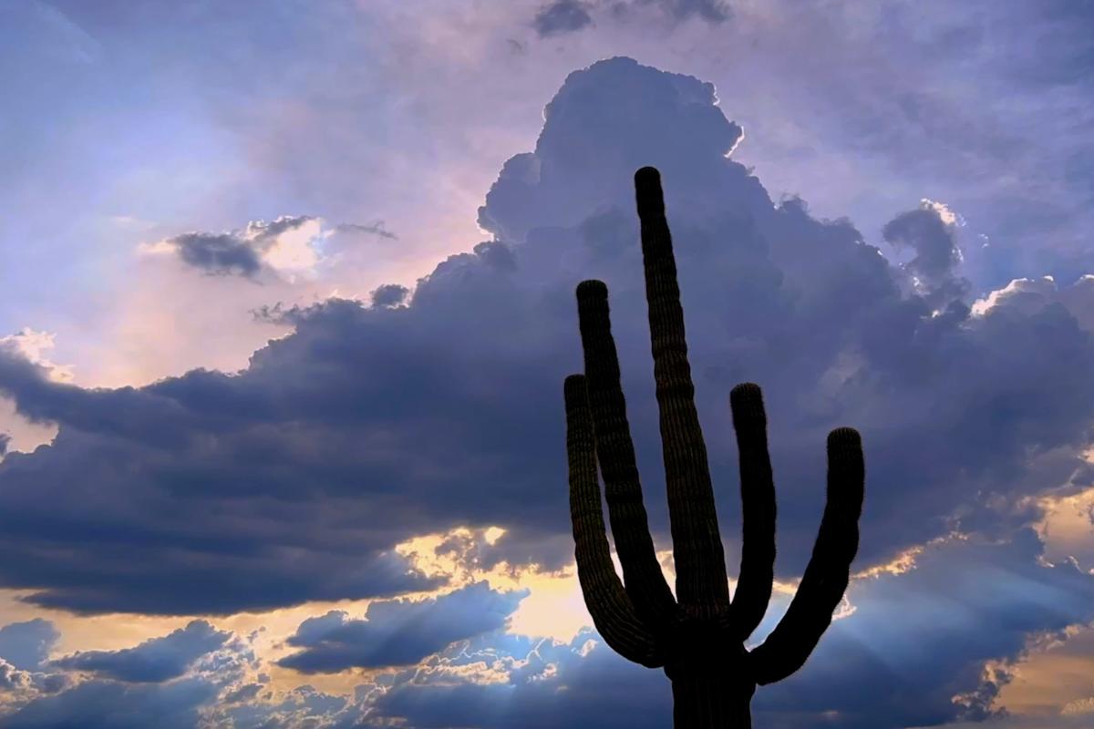 Monsoon Saguaro_KJames