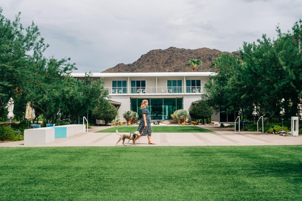 dog being walked at Mountain Shadows resort
