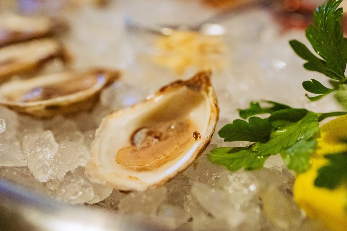 Stock Oysters_Unsplash