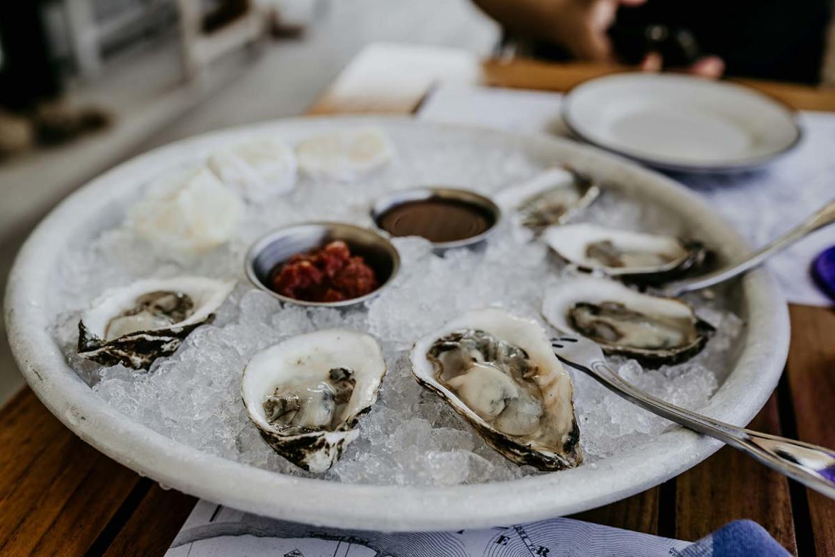 plate of oysters at a seafood restaurant