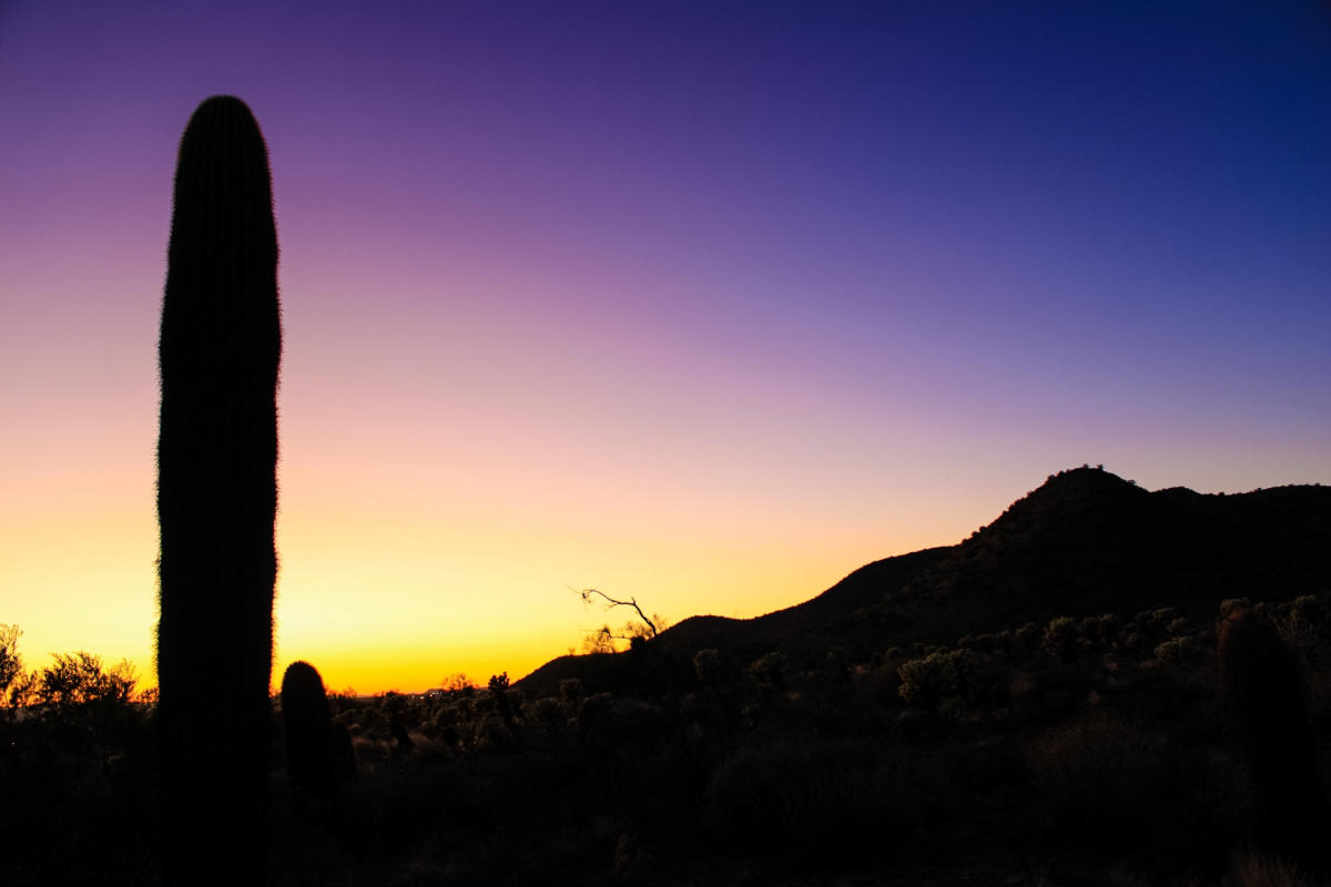 McDowell Sonoran Preserve Sunset