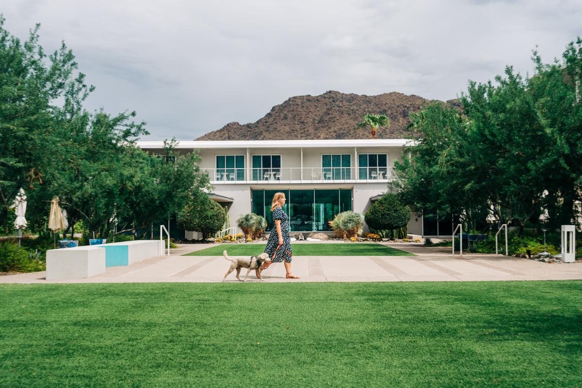dog being walked at Mountain Shadows resort