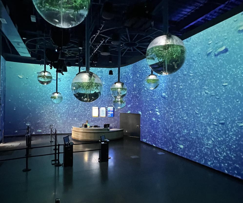 OdySea Aquarium