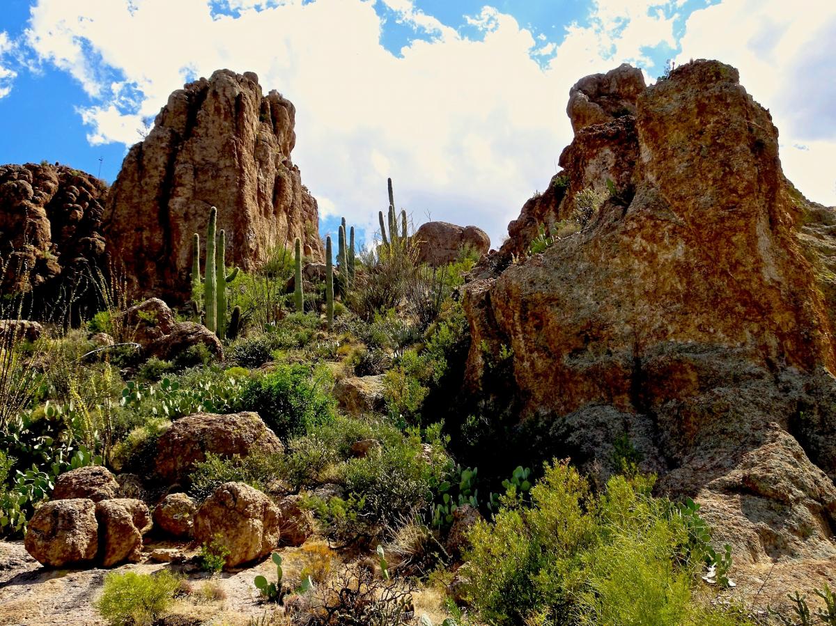 short road trips from scottsdale