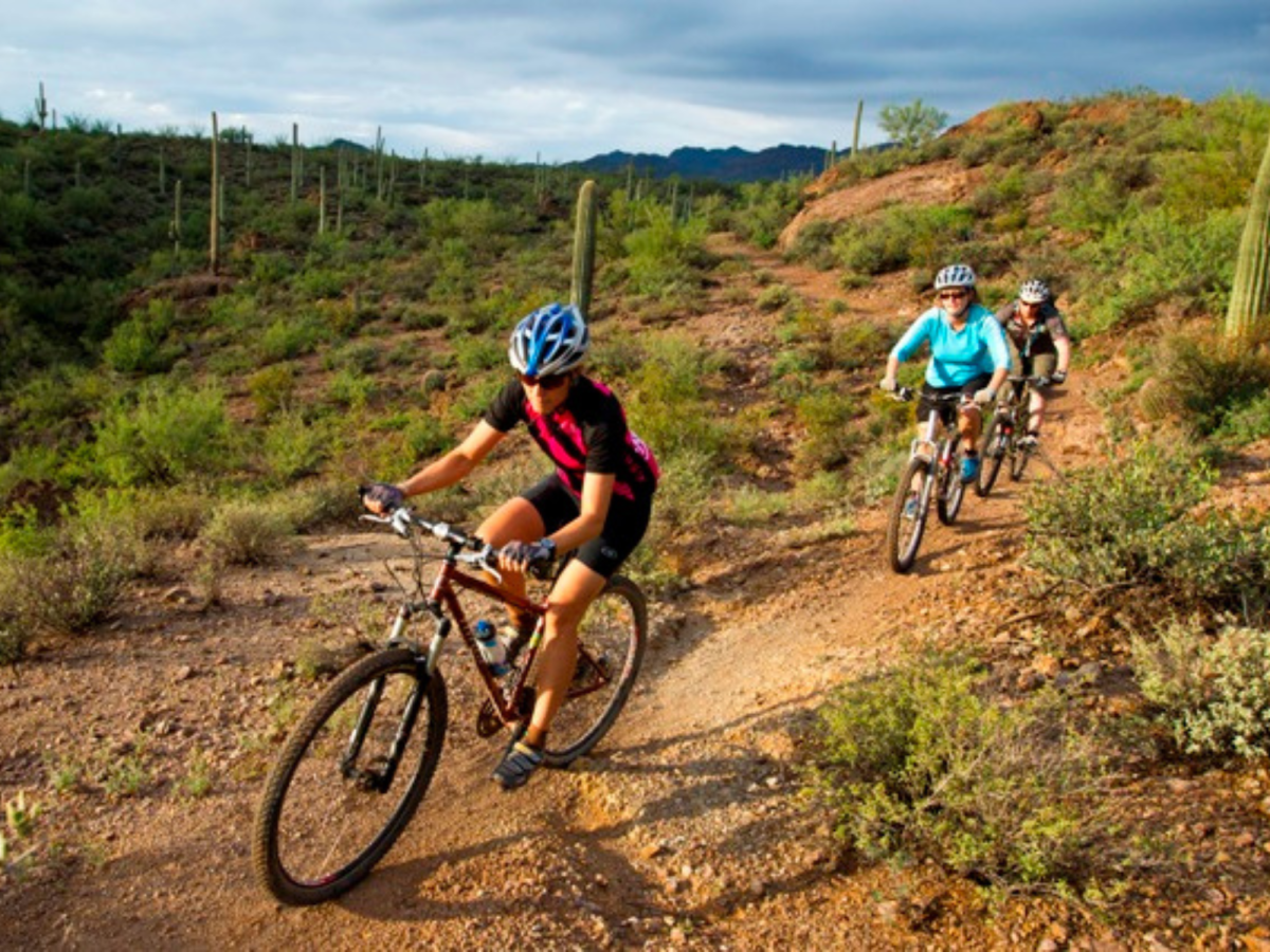 Fit City Adventures - Mountain Bike Adventure