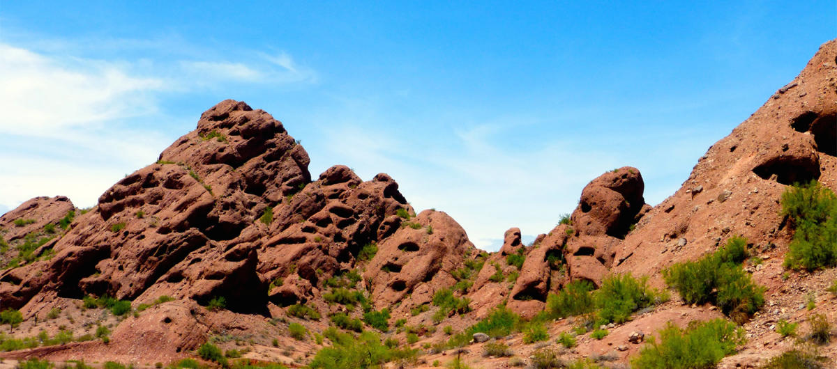 The Three Best Easy Hikes in Scottsdale Official Travel Site for