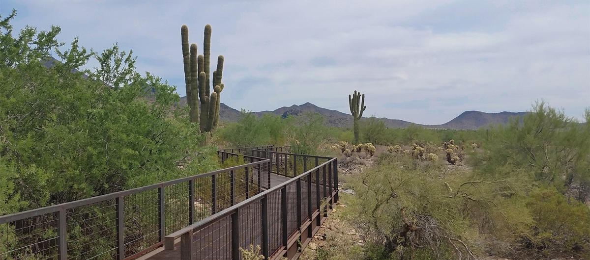 Scottsdale christmas lights 2025