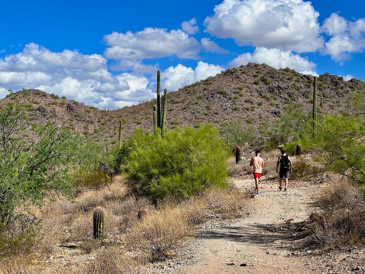 4 Best Easy Hikes in Scottsdale | Trails For Beginners