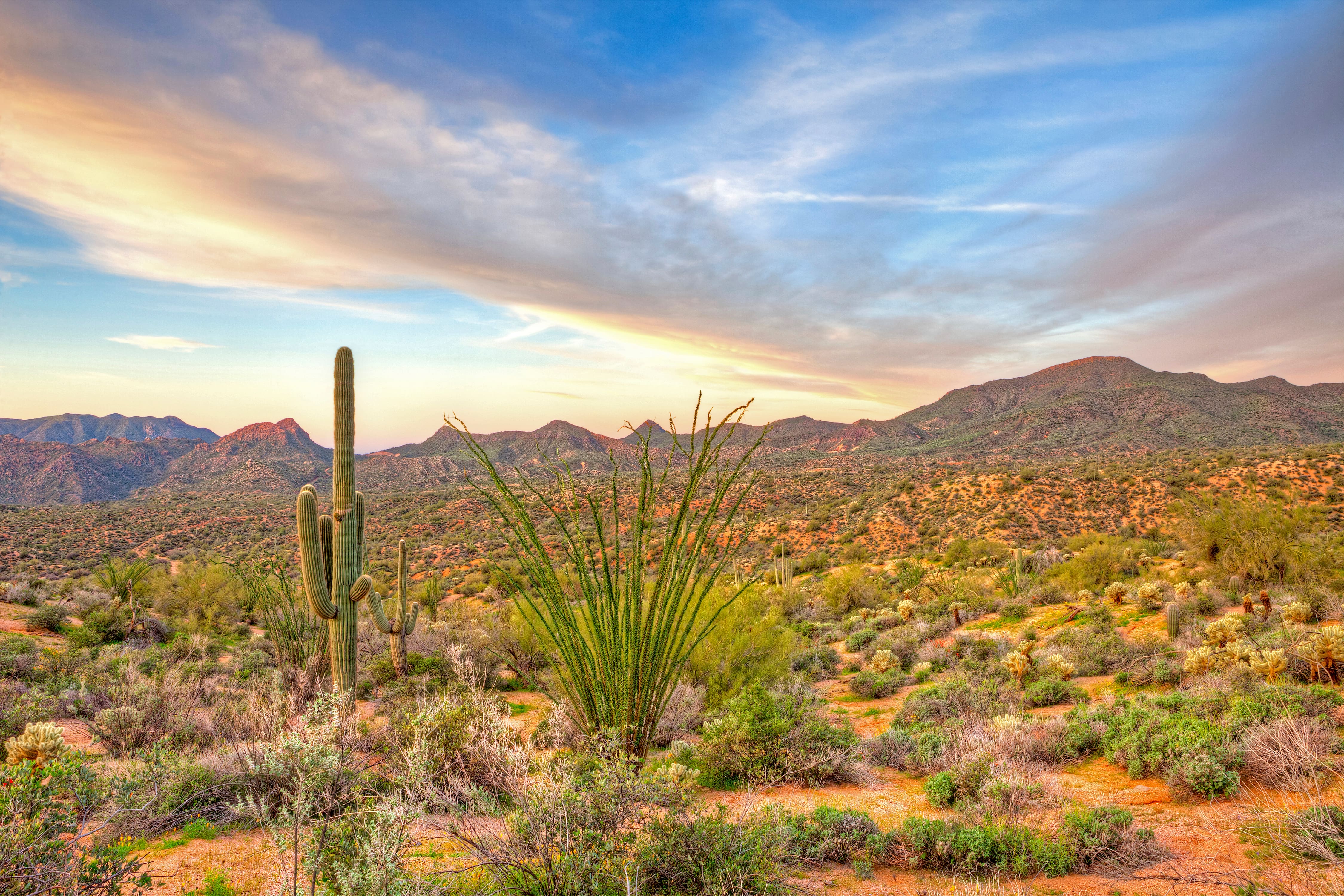 Enter to win A WELLNESS Trip to Scottsdale! 